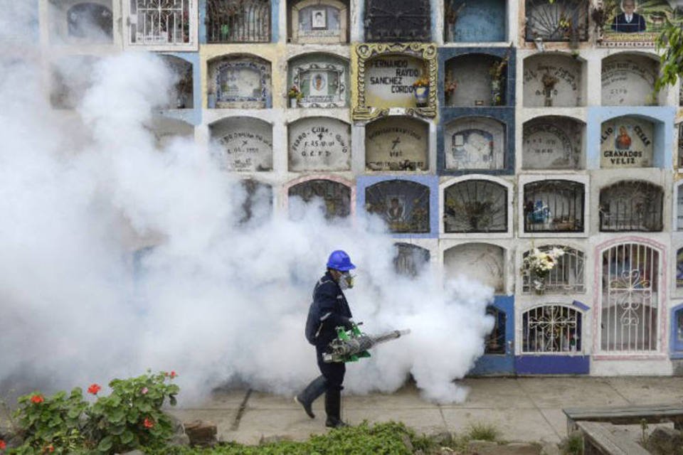 Venezuela confirma 3 mortes por complicações ligadas ao Zika