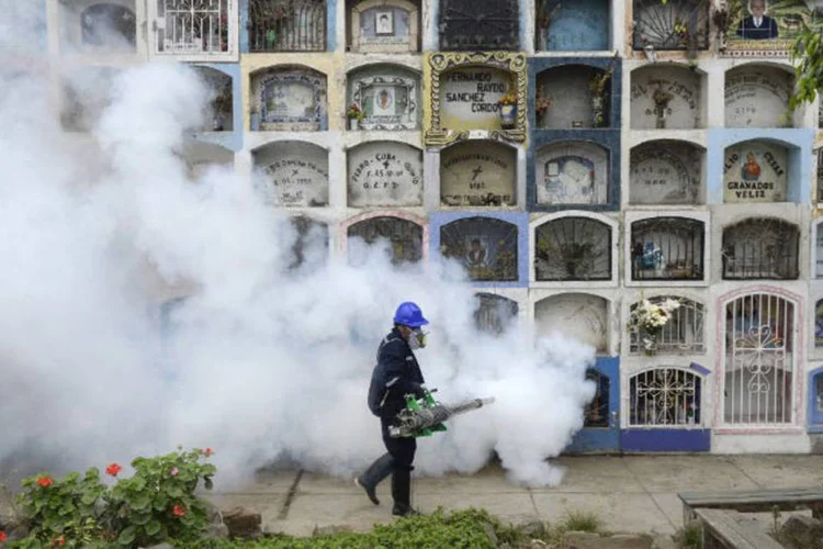 
	Especialista dedetiza cemit&eacute;rio contra mosquito da dengue e do zika v&iacute;rus
 (Ernesto Benavides / AFP)