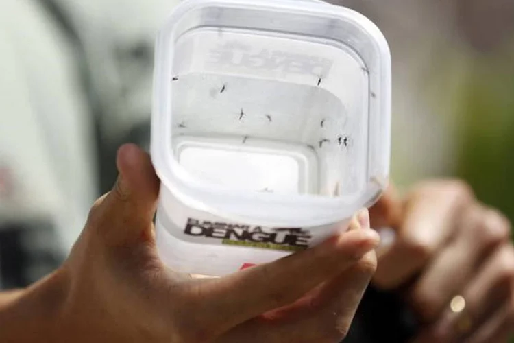 Dengue: no entanto, 66% das pessoas vacinadas tiveram resultados positivos (Pilar Olivares/Reuters)