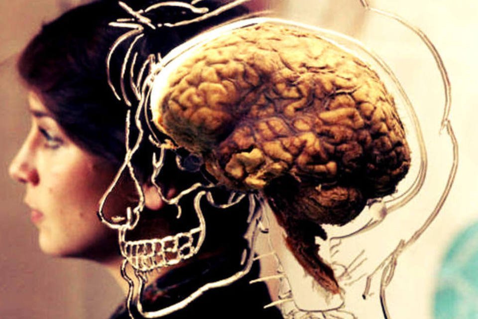 Estas imagens expõem diferenças no cérebro do homem e mulher