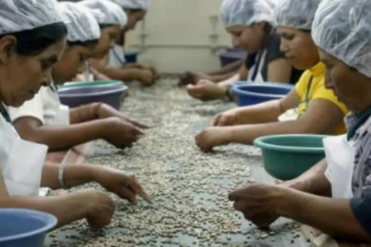 
	Mulheres durante trabalho: &quot;mulheres mais pobres sofrem maiores constrangimentos para sua participa&ccedil;&atilde;o no mercado de trabalho&quot;, mostra pesquisa
 (Miguel Alvarez/AFP)