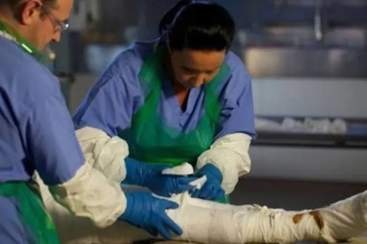 O processo de mumificação será exibido em um documentário na TV britânica (AFP)