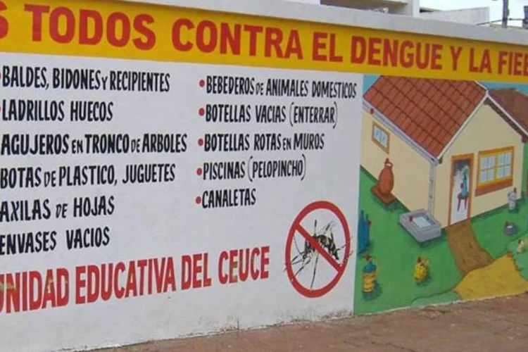 Muro no Paraguai ensina a combater a dengue: mais 5 podem ter morrido da doença (Pablo D. Flores/Wikimedia Commons)