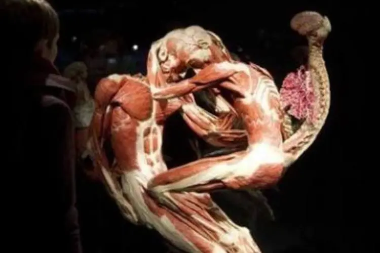 Morte e arte: exposição permanente "Body Worlds" no museu Menschen, em Berlim, antes da abertura (REUTERS/ Stefanie Loos)