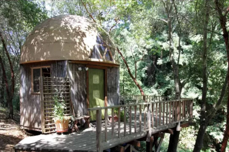 Mushroom Dome Cabin:  (Reprodução/ Airbnb)