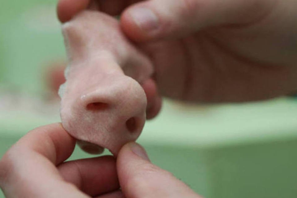 
	Pr&oacute;tese de um nariz feito em uma impressora 3D: tecnologia usa materiais l&iacute;quidos que endurecem &agrave; medida que imprime objetos tridimensionais em camadas
 (Chris Ratcliffe/Bloomberg)
