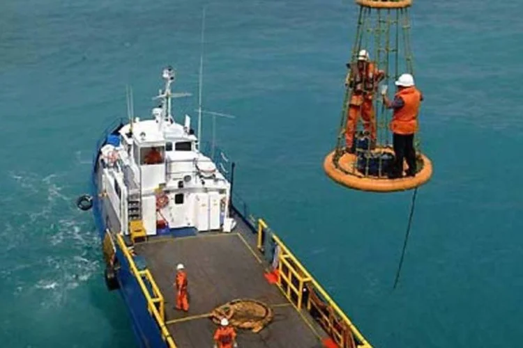 Navios de apoio da Petrobras: Brasco foca em serviços para óleo e gás