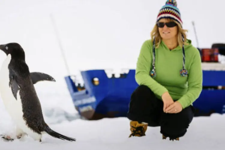 
	Passageira de navio russo preso na Ant&aacute;rtida observa pinguim: mau tempo frustrou resgate a&eacute;reo das 74 pessoas a bordo do&nbsp;navio&nbsp;&nbsp;&quot;Akademik Shokalskiy&quot;
 (.)