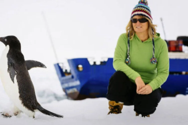 
	Passageira de navio russo preso na Ant&aacute;rtida observa pinguim: mau tempo frustrou resgate a&eacute;reo das 74 pessoas a bordo do&nbsp;navio&nbsp;&nbsp;&quot;Akademik Shokalskiy&quot;
 (.)
