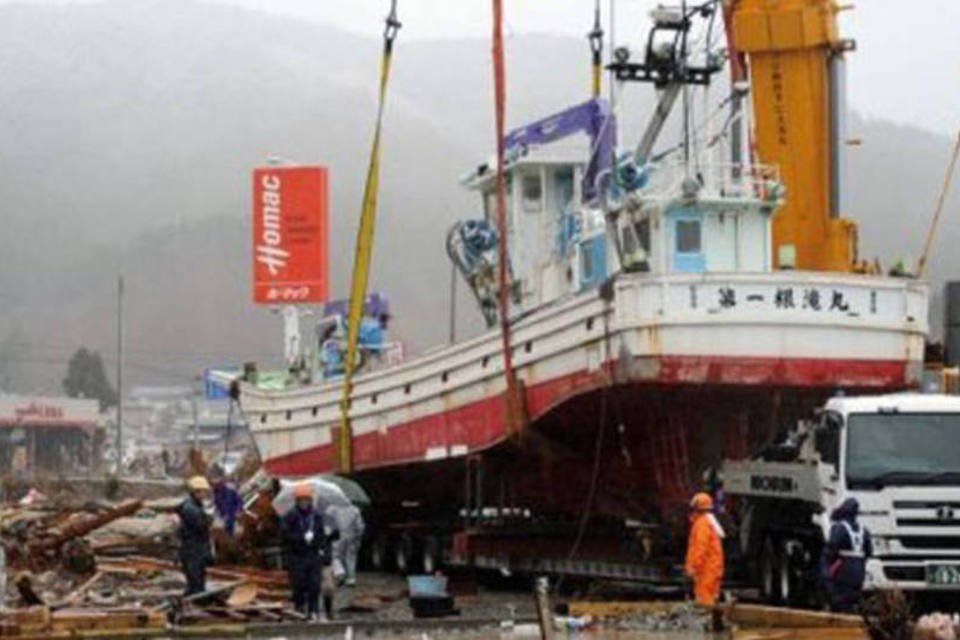 Peixes japoneses sobrevivem 8 mil km em porão de navio