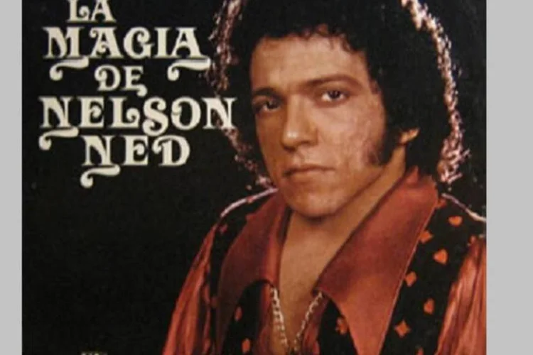 
	Nelson Ned: cantor morreu aos 66 anos
 (Reprodução)