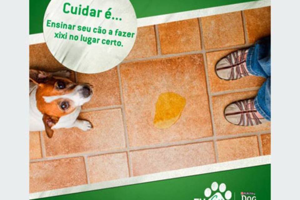 Dog Chow faz ação para evitar abandono de cães