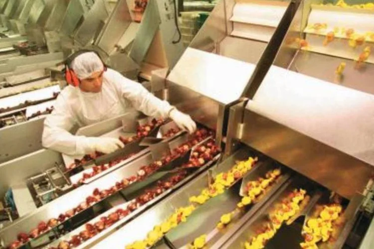 Fábrica da Nestlé: local onde nova unidade será construído será definida em breve (.)