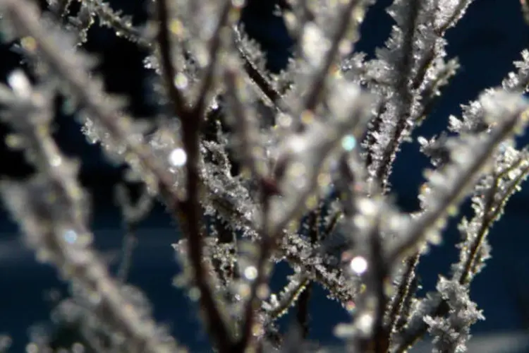 
	Frio: temperaturas extremas de toda a Regi&atilde;o Sul est&atilde;o previstas para o Rio Grande do Sul
 (Stock.xchng)