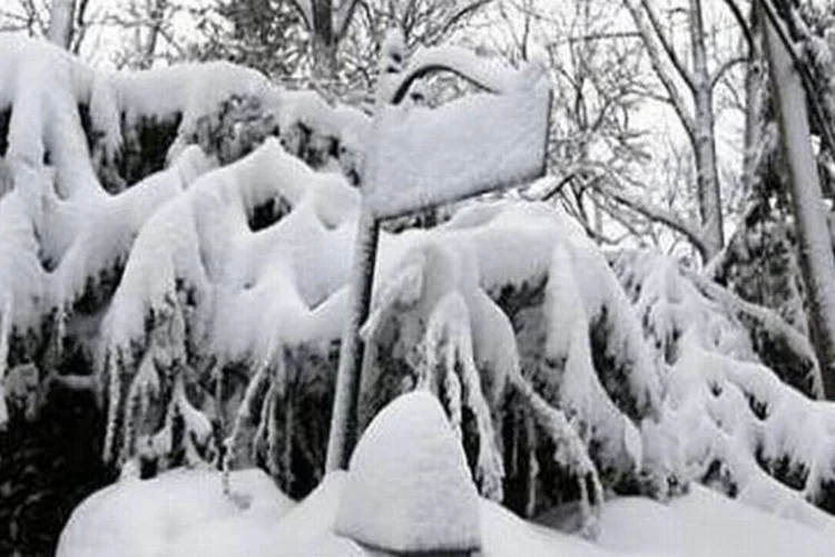 Placa de rua coberta por neve em Manhasset, Nova York, EUA ( Reuters/Shannon Stapleton)
