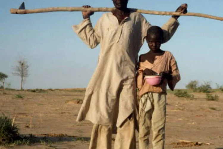 
	Nig&eacute;ria: os menores necessitam ser nutridos em primeira inst&acirc;ncia com alimentos terap&ecirc;uticos
 (Lynn Johnson/National Geographic/Getty Images)