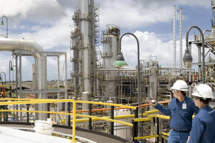 
	Braskem: empresas buscam&quot;condi&ccedil;&otilde;es equilibradas&quot; para as duas empresas, disse a Petrobras
 (.)