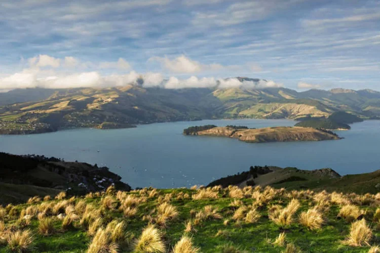 Christchurch na Nova Zelândia: universidade fica na ilha sul (Thinkstock)