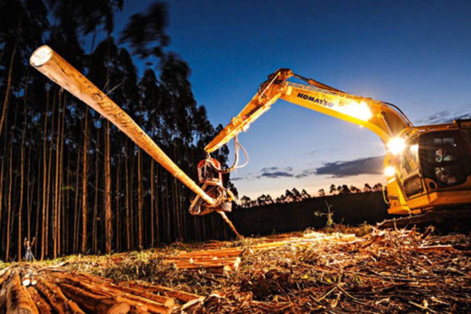 "CDB agrícola" isento de IR pode chegar a pequeno investidor