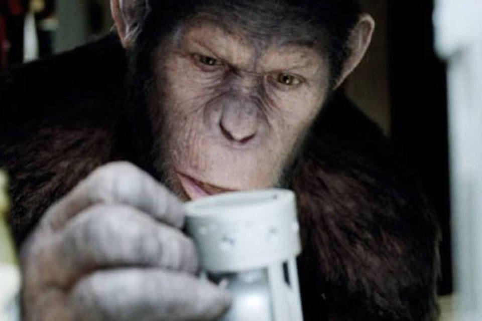 Macaco usa mente para controlar e sentir avatar