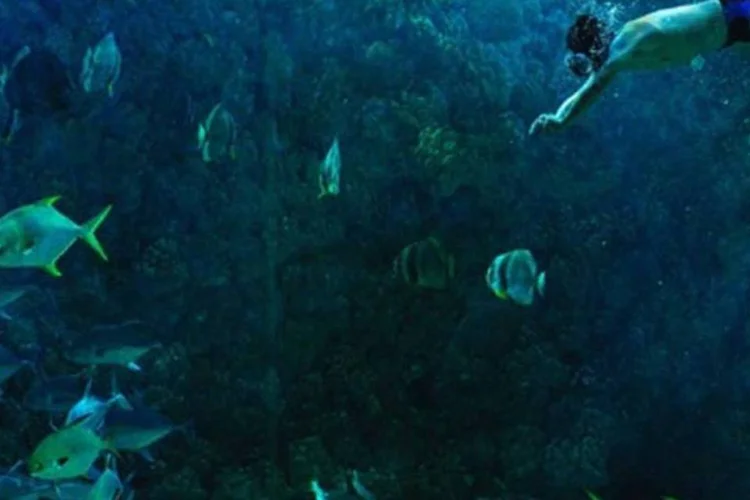 O aquecimento global pode tornar oceanos, lagos e ecossistemas costeiros mais nocivos à saúde humana (Wikimedia Commons)