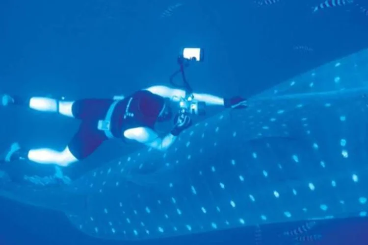 Profissional de Oceanografia (UNIVALE/Divulgação)