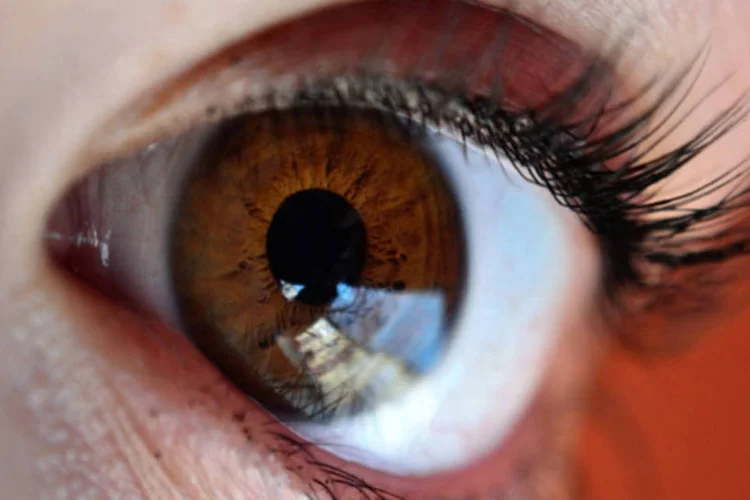 
	Olho:&nbsp;O glaucoma, uma doen&ccedil;a ainda sem cura, &eacute; a terceira causa de cegueira no Brasil&nbsp;
 (Stock.xchng)