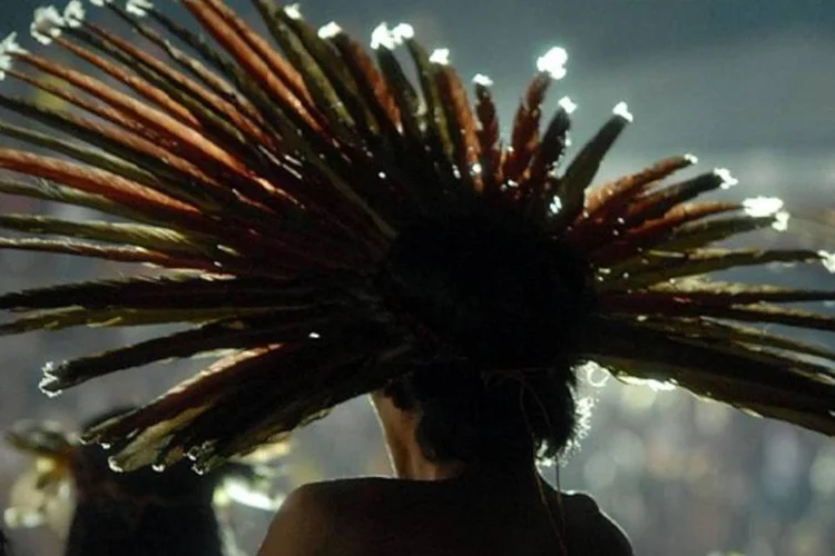 Cultura indígena: mais de 50 etnias retidos na França há mais de 20 anos voltam ao Brasil (Valter Campanato/Agência Brasil)