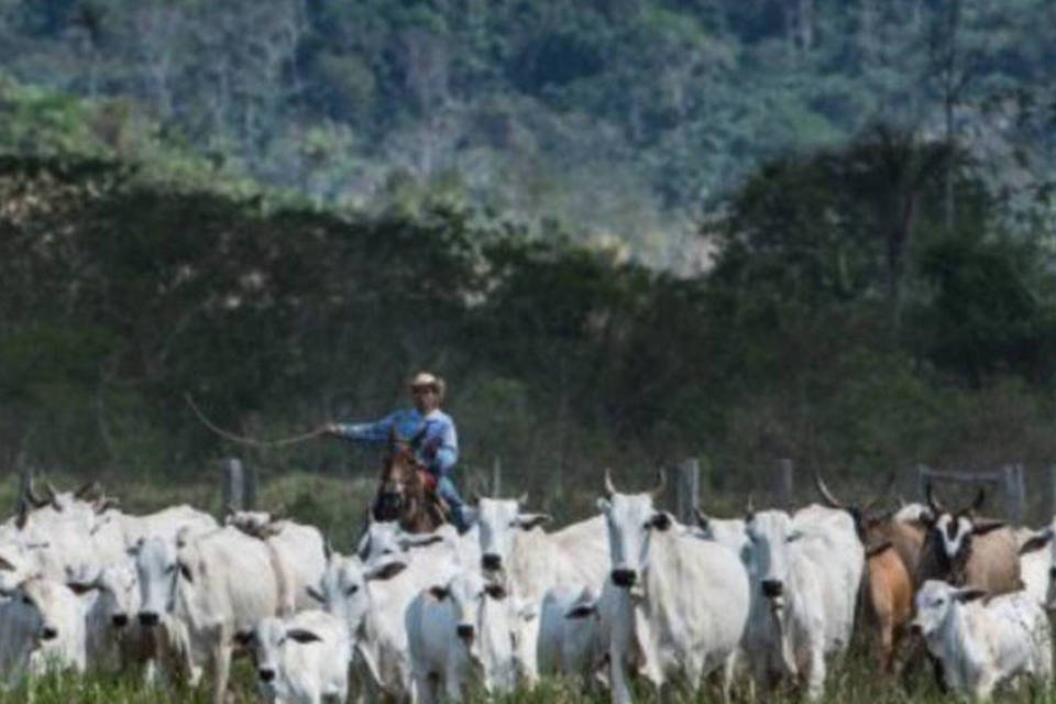 Queda da produção agropecuária provoca queda no PIB