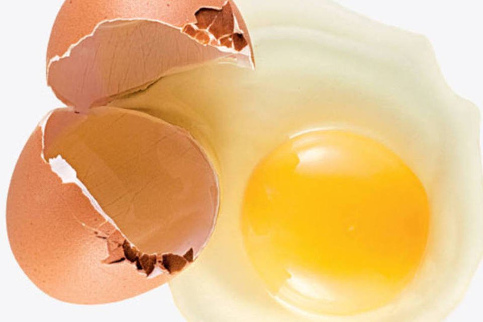 Brasil tem a maior produção de ovos de galinha em 29 anos