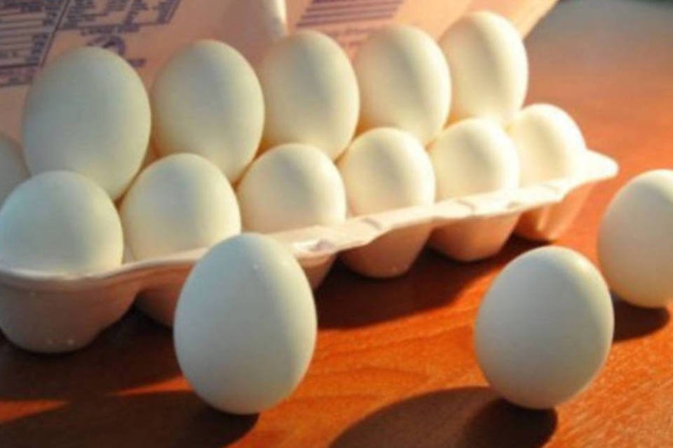Contaminação por salmonela leva a recall de ovos