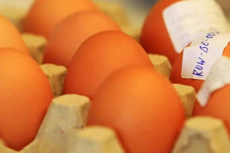 Ovos com dioxina: até agora apenas França e Dinamarca receberam produtos contaminados  (Joern Pollex/Getty Images)