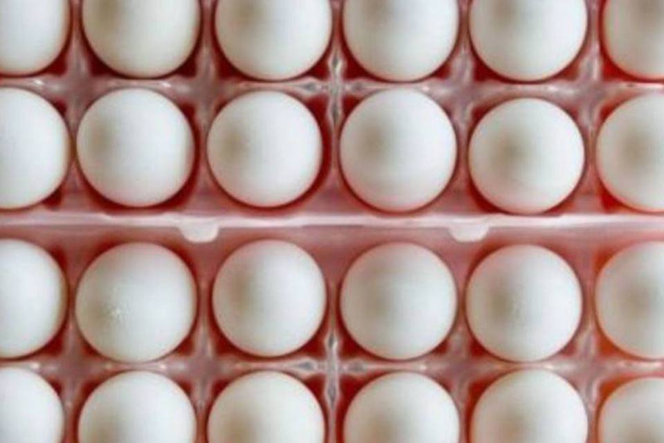 EUA retiram 500 milhões de ovos do mercado