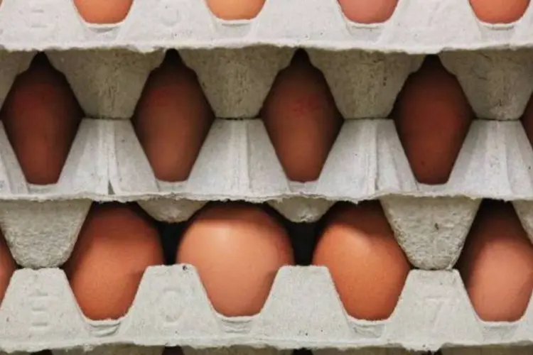 
	Produ&ccedil;&atilde;o de ovos: n&uacute;mero &eacute; 3% maior do que o produzido no segundo trimestre deste ano e 3,9% superior ao do terceiro trimestre do ano passado
 (Getty Images)