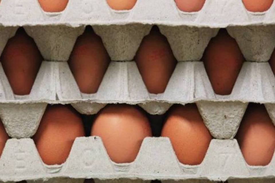 Produção de ovos no país atingiu valor recorde, mostra IBGE