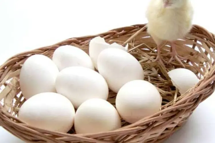 Mais importante do que não pôr os ovos na mesma cesta é saber cuidar das cestas (Deepak Malhotra/SXC)