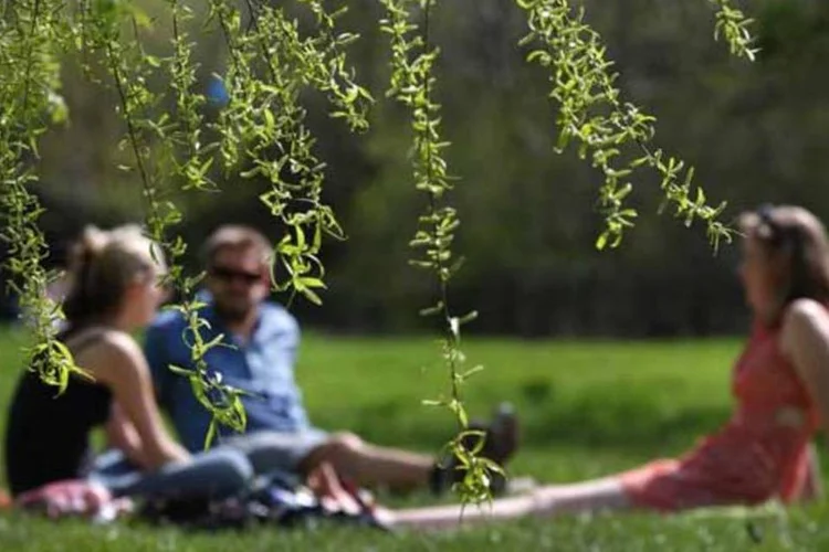 Viva a natureza (Getty Images)