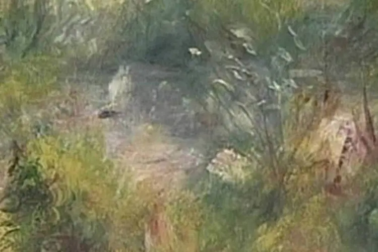 
	&quot;Paysage Bords de Seine&quot;, de Pierre-Auguste Renoir: n&atilde;o se sabe como a tela foi parar na Virg&iacute;nia
 (Reprodução)