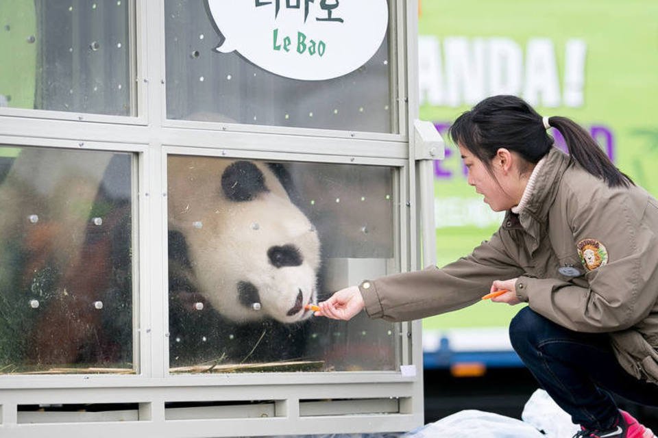 Seul recebe pandas gigantes presenteados por Pequim