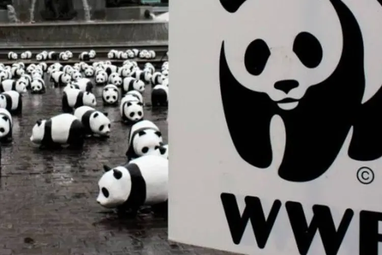 Manifestação da WWF: elogios ao relatório da ONU (Stéfan/Flickr)