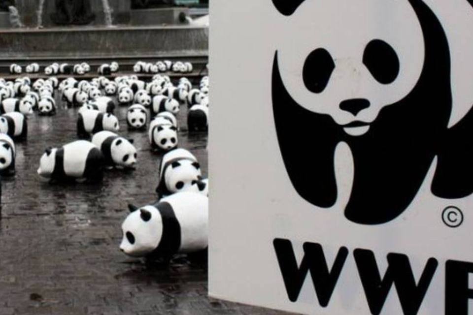 WWF elogia novo relatório da ONU sobre sustentabilidade