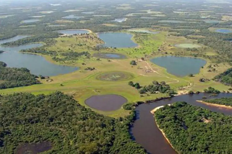 Pantanal: alteração do bioma pode dificultar fluxo migratório de peixes e outras espécies aquáticas (Wikimedia Commons)