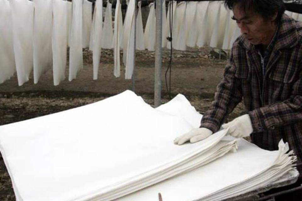 CMPC investirá US$ 2 bi em fábrica de celulose no país