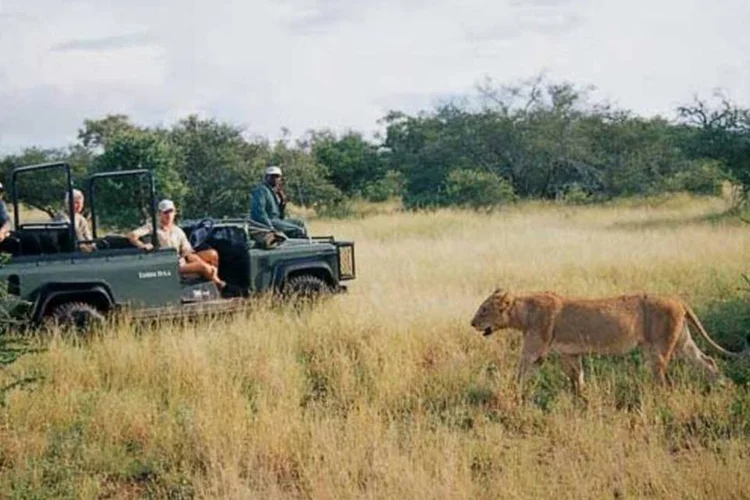 
	Ecoturismo na &Aacute;frica do Sul: a&ccedil;&atilde;o tem como objetivo aumentar a base de f&atilde;s que a empresa possui no Facebook
 (Divulgação)