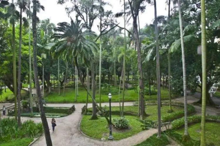 Parque da Luz, em São Paulo (Mario Rodrigues/Veja São Paulo)