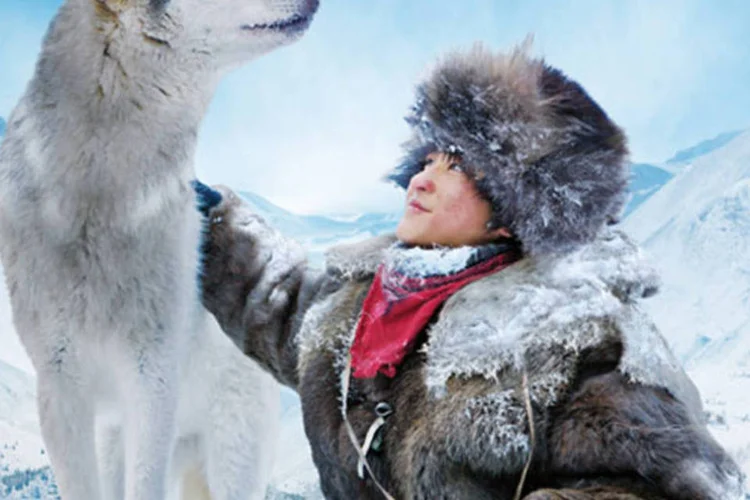 Parte do cartaz do filme Loup (Reprodução)