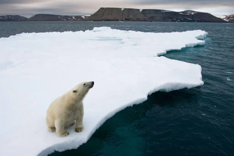Geleiras: para realizar o estudo, os cientistas analisaram detalhadamente amostras de sedimentos retiradas debaixo do glaciar flutuante da Ilha Pine (Paul Souders)