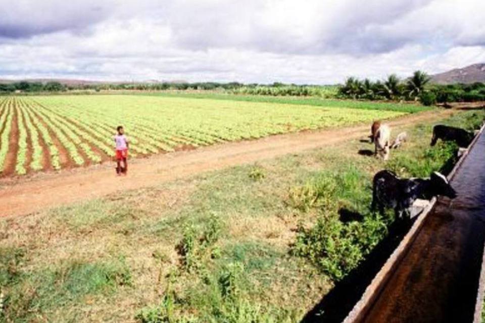 SRB prevê crescimento fraco do PIB da agropecuária em 2015