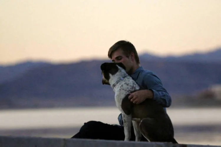 Comercial da Pedigree: relação entre ex-presos e cachorros (Reprodução)