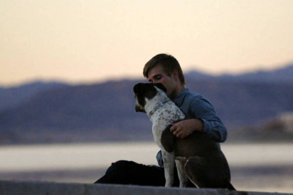 Vídeo da Pedigree mostra relação entre ex-presos e cachorros